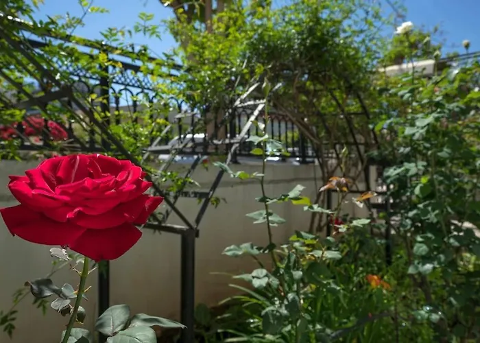 Casa αrezio * חאניה