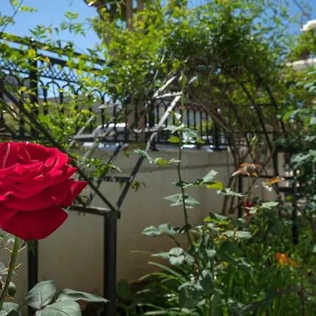 Casa αrezio * Ханья