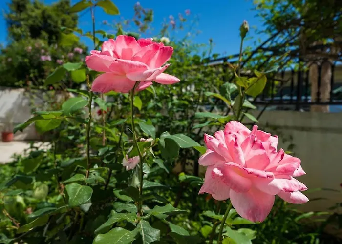 Lejlighed Casa αrezio Chania (Crete)